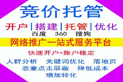 专业SEM运营托管服务案例分析